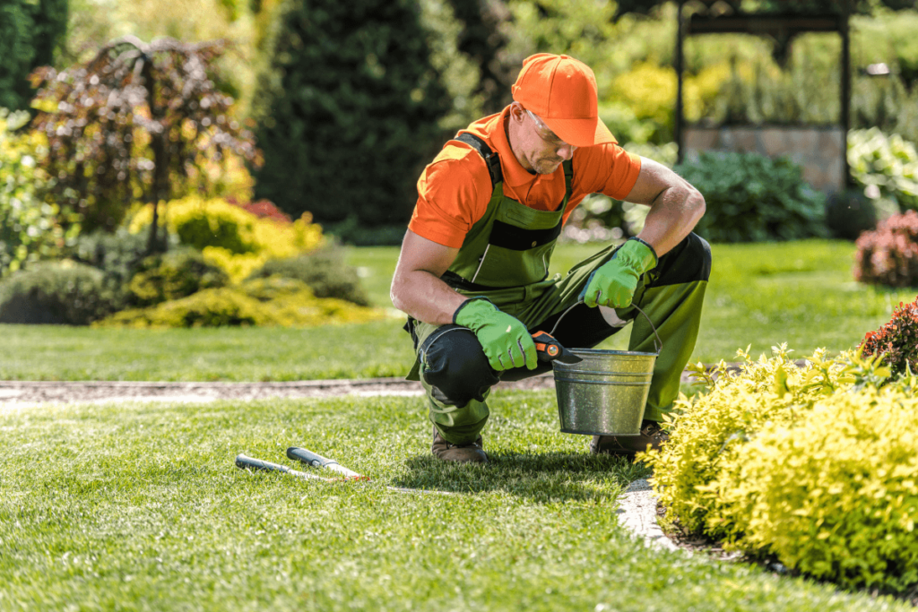 garden maintainance