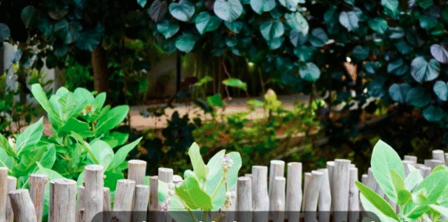 garden guide homenumental