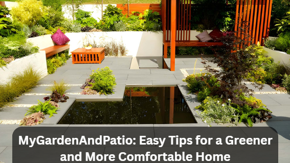 MyGardenAndPatio: Easy Tips for a Greener and More Comfortable Home