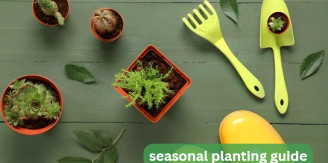seasonal planting guide