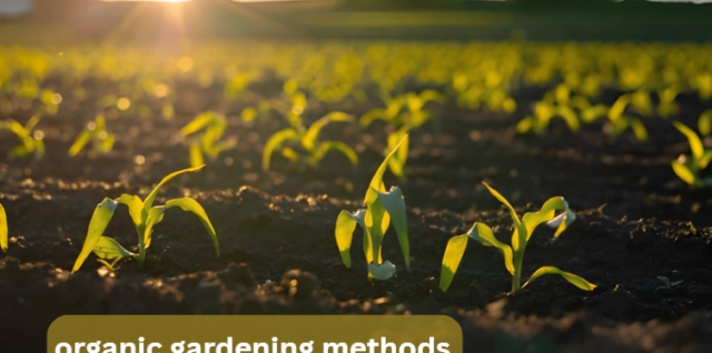 organic gardening methods