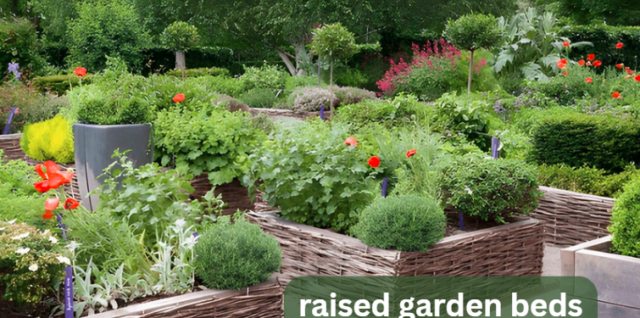 raised garden beds