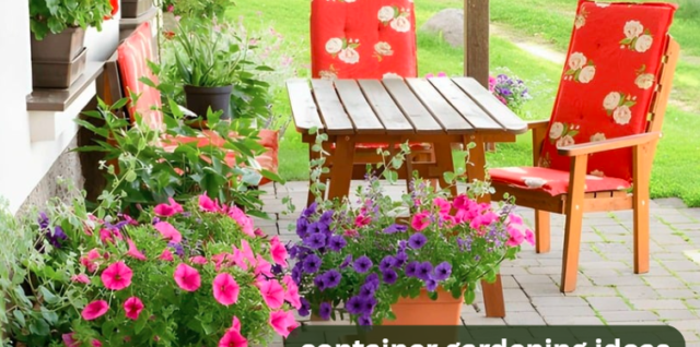 container gardening ideas