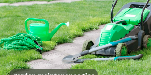 garden maintenance tips