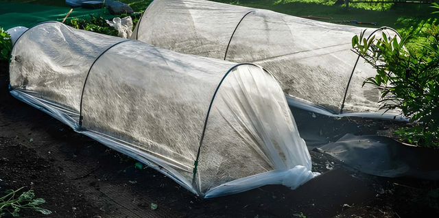 How Can You Prepare Your Garden for Winter?