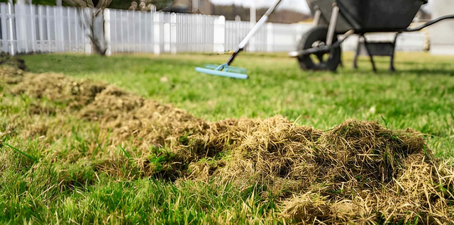 When Should You Start Spring Garden Cleanup?