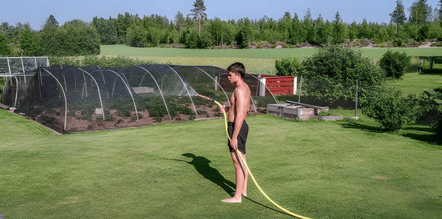How Can You Keep a Garden Healthy During Heatwaves?