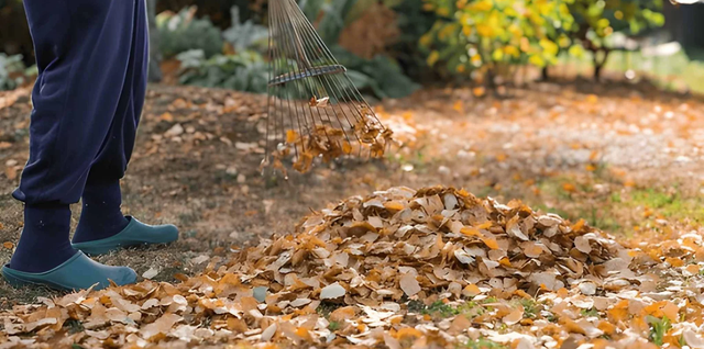 What Garden Tasks Matter Most in Autumn?