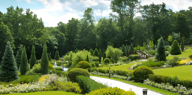 How Can You Prepare Your Lawn for Summer?